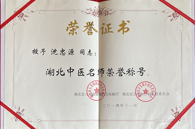 湖北中医名师荣誉证书